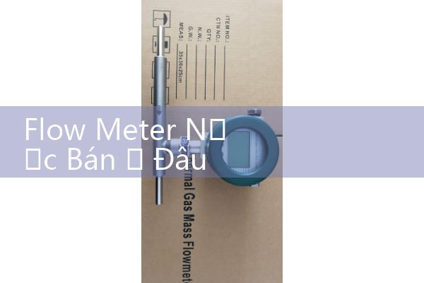 Flow Meter Nước Bán Ở Đâu Uy Tín: Địa Chỉ Mua Đồng Hồ Đo Lưu Lượng Nước Chính Hãng